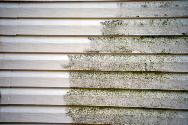 Best Storm Damage Siding Repair  in Pembroke Pines, FL